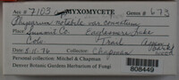 Image Associated With the Occurence